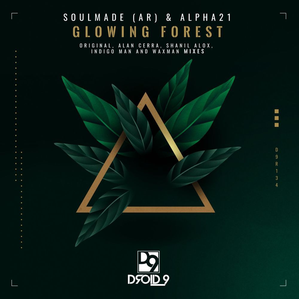 Soulmade & Alpha21 - Glowing Forest [D9R134]